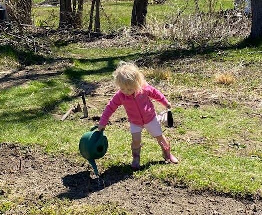 little girl in pink jacket & shorts watering the ground with a green watering can